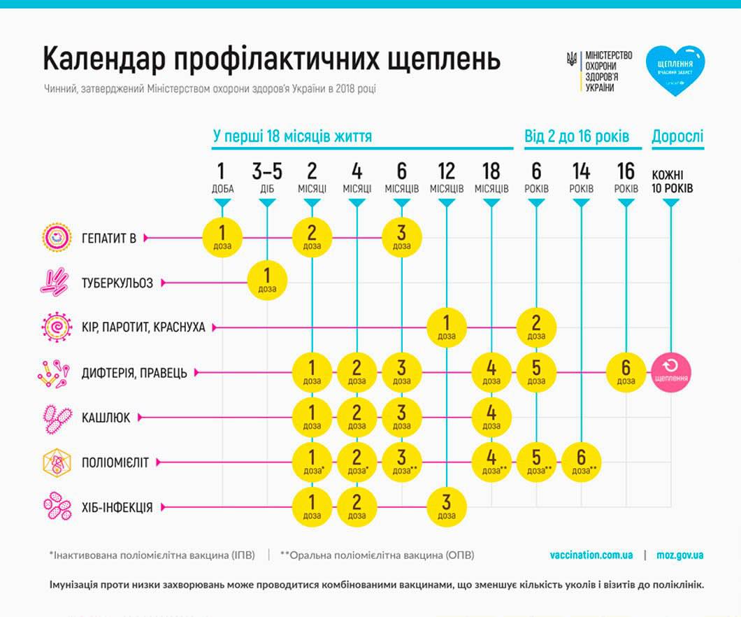 Календар профілактичних щеплень в Україні для дітей і дорослих за віком – офіційний графік МОЗ